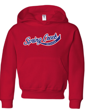 SCE - Youth Vintage Font Hooded Sweatshirt *Available in 3 Color Options